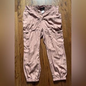 Express joggers